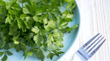 garnishing-instructions-image